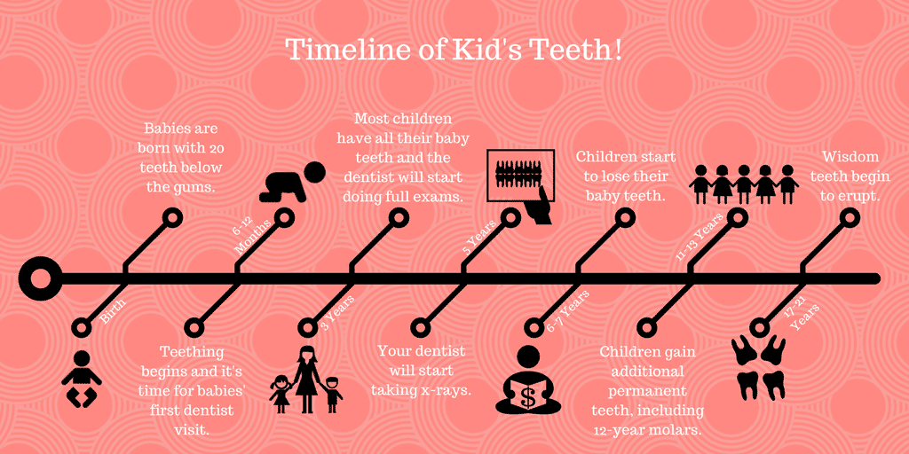 Timeline illustration of children's teeth